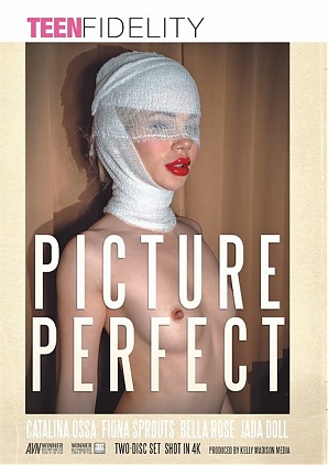 Picture Perfect (ONLY DISC 1) (2021)