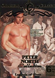 Peter North Collection (6 DVD Set) (149018.0)